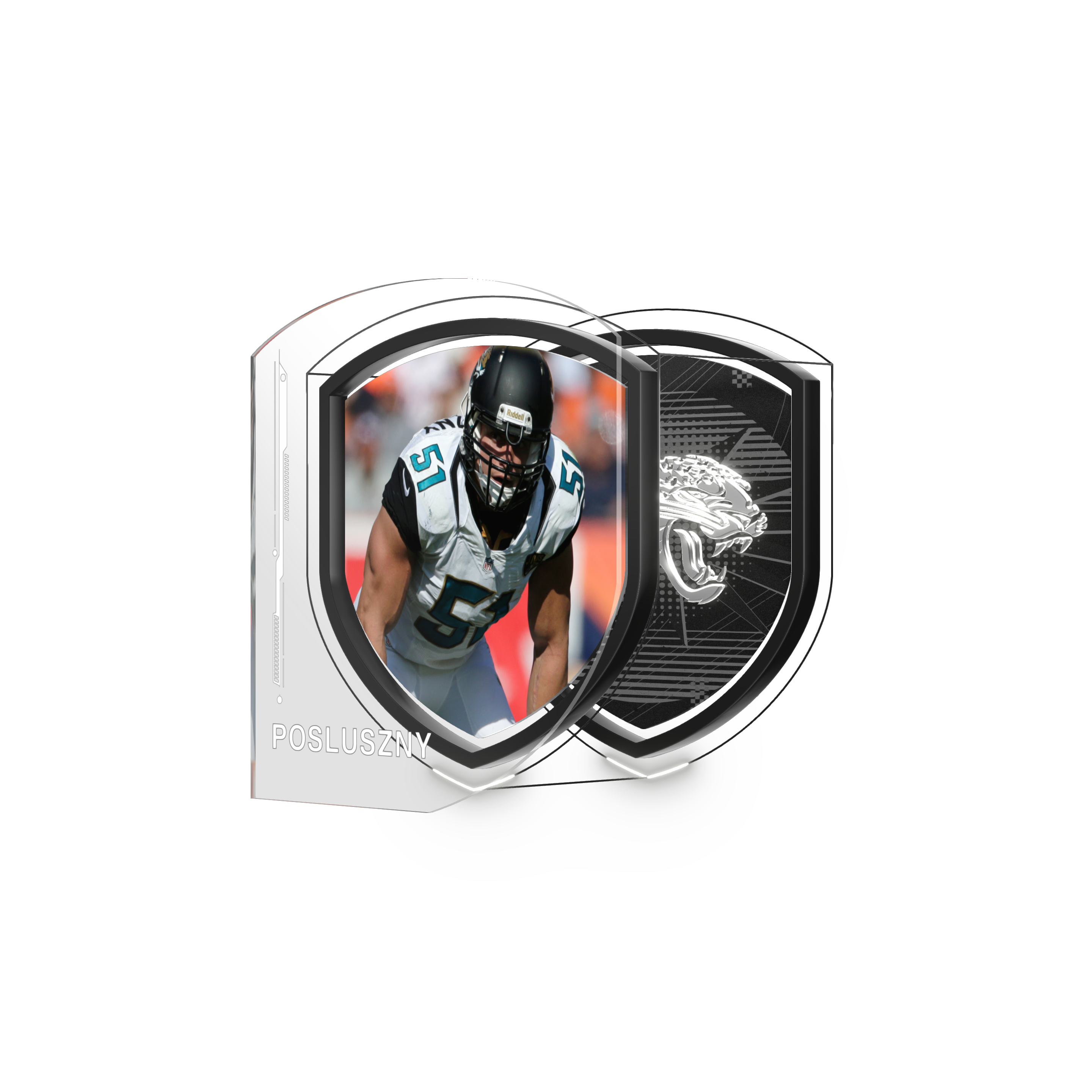 Paul Posluszny asset