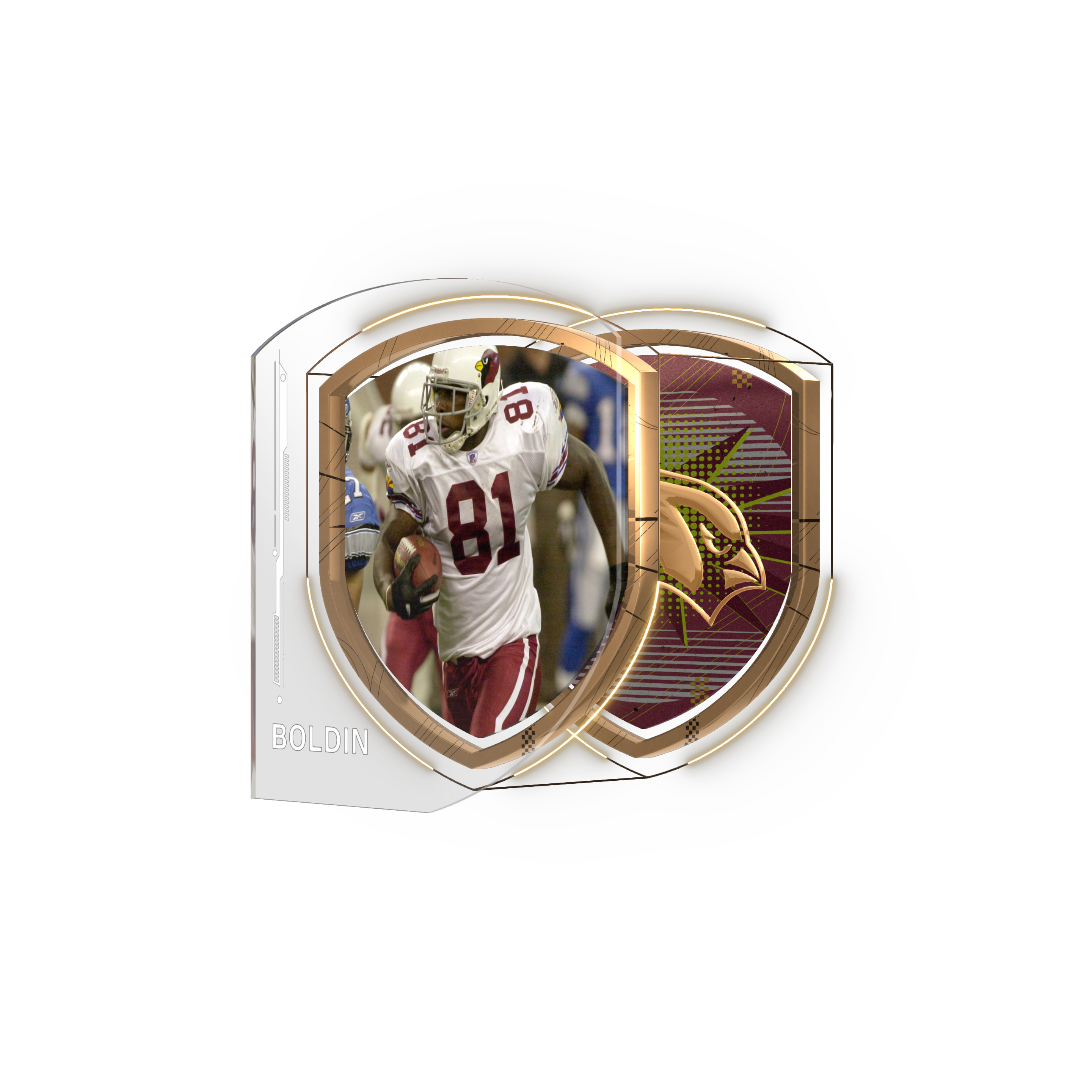 Anquan Boldin asset