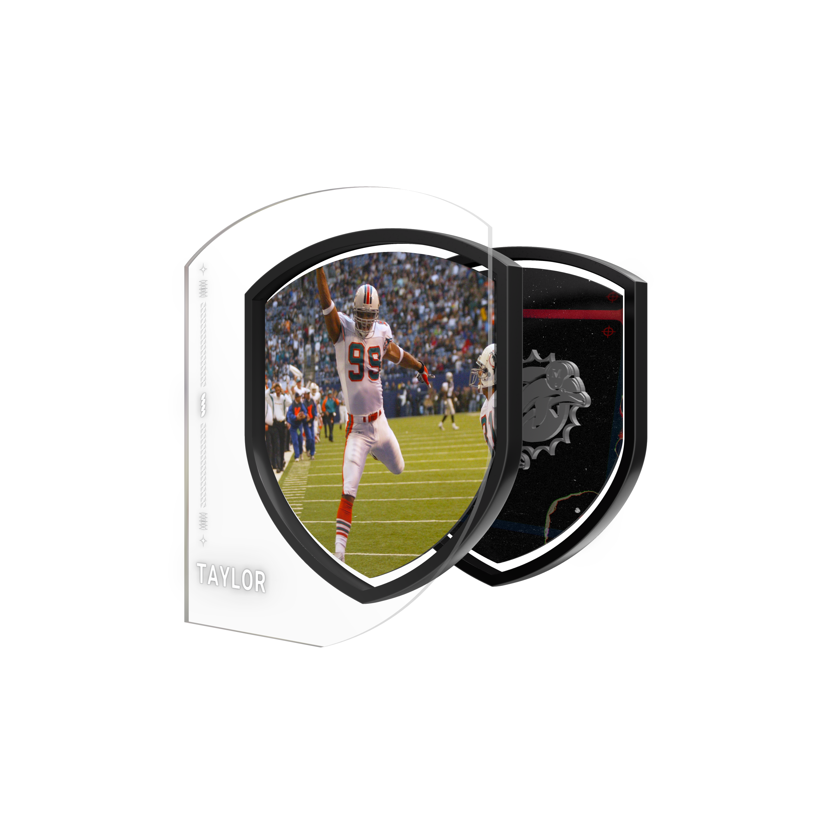 Jason Taylor asset