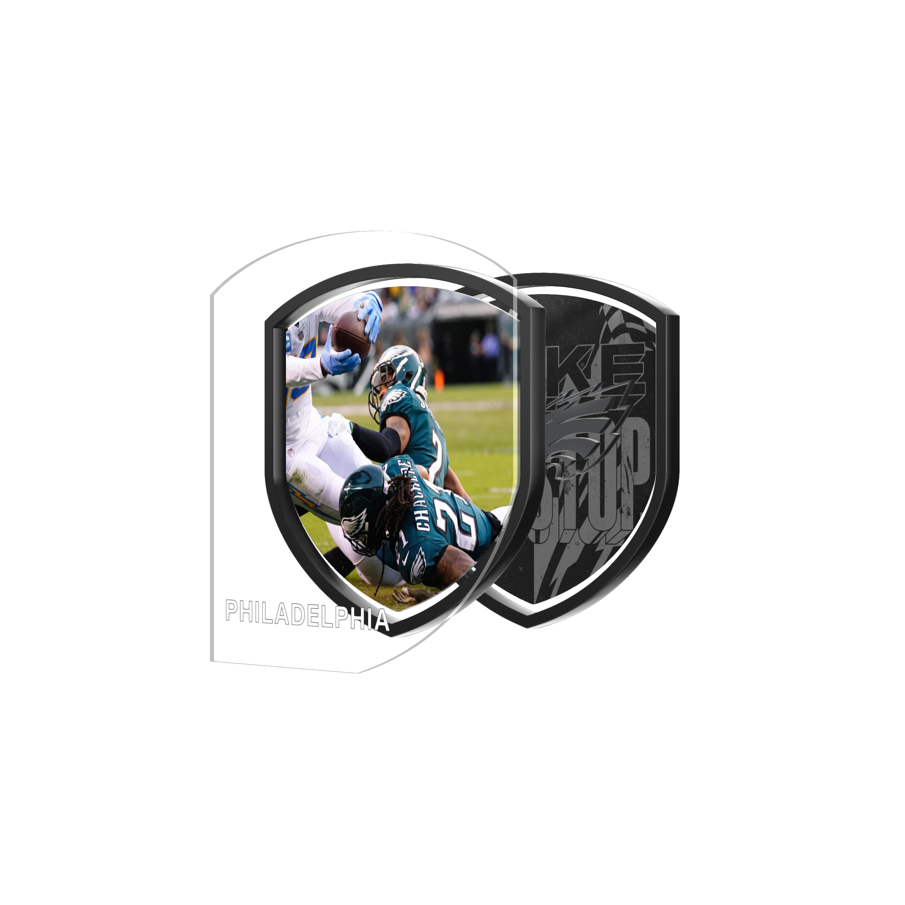 Philadelphia Eagles Team Melt asset