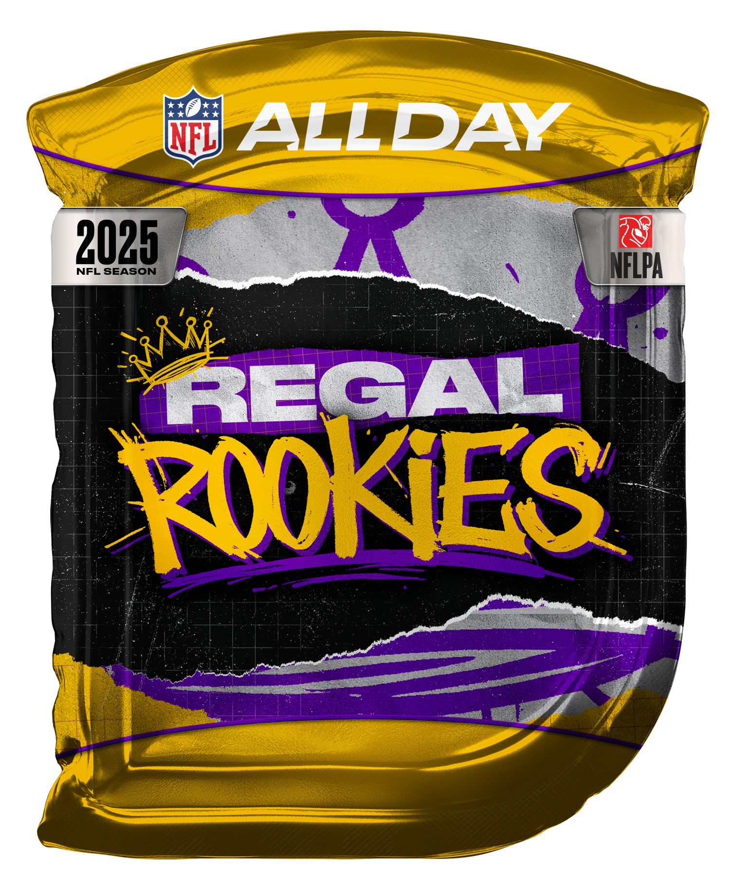 NFL All Day Pack asset